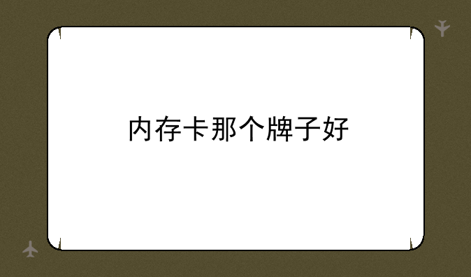 内存卡那个牌子好