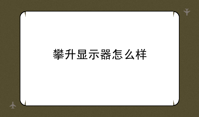 攀升显示器怎么样