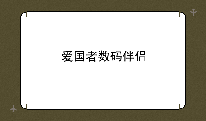 爱国者数码伴侣