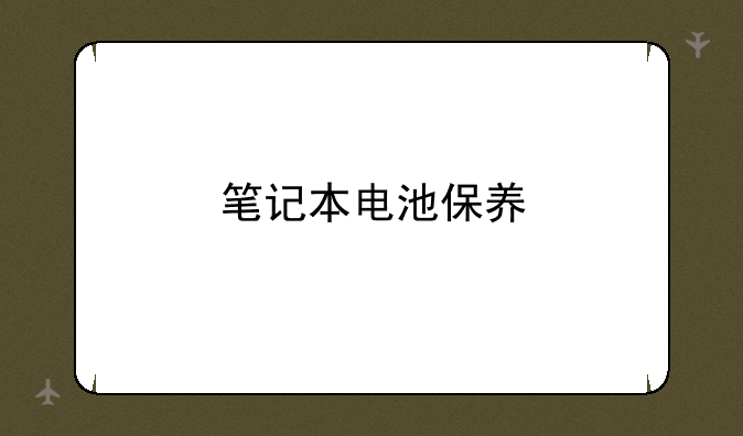 笔记本电池保养