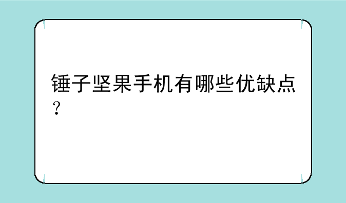 锤子坚果手机有哪些优缺点？