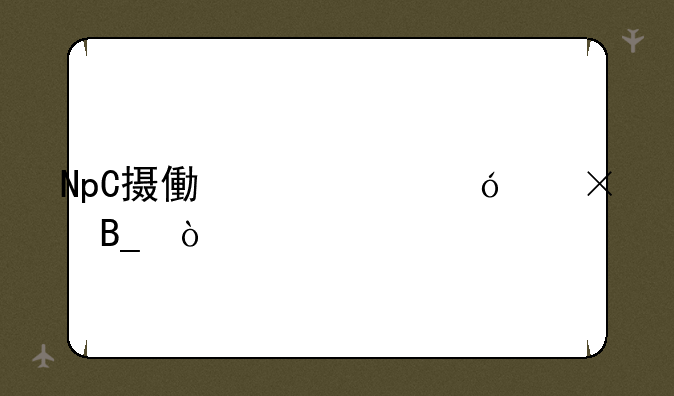NpC摄像头价格贵吗？