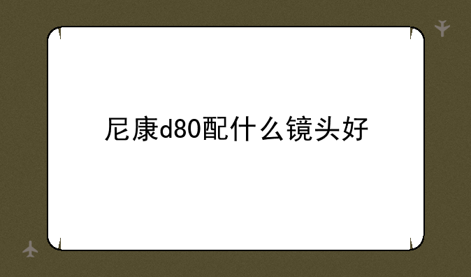 尼康d80配什么镜头好