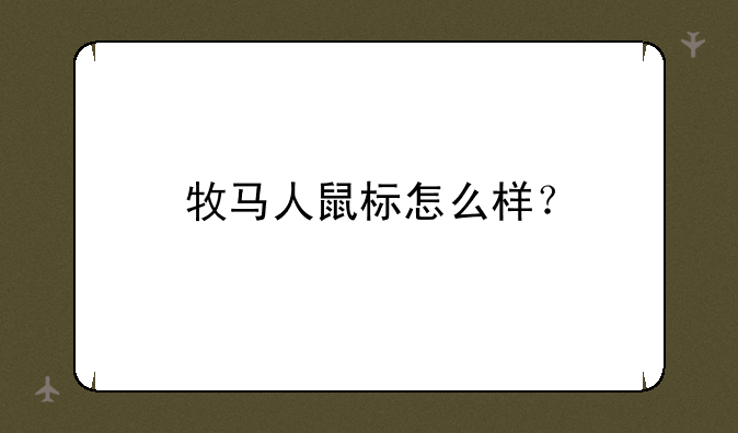 牧马人鼠标怎么样？