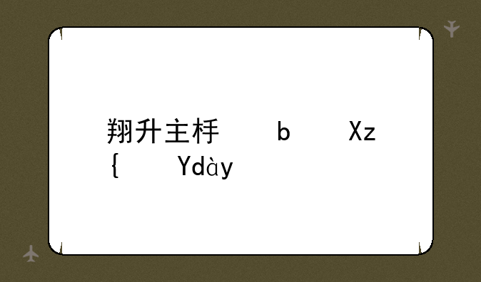 翔升主板是几线品牌