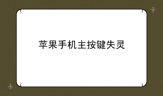 苹果手机主按键失灵