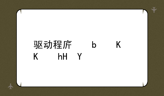 驱动程序是什么意思