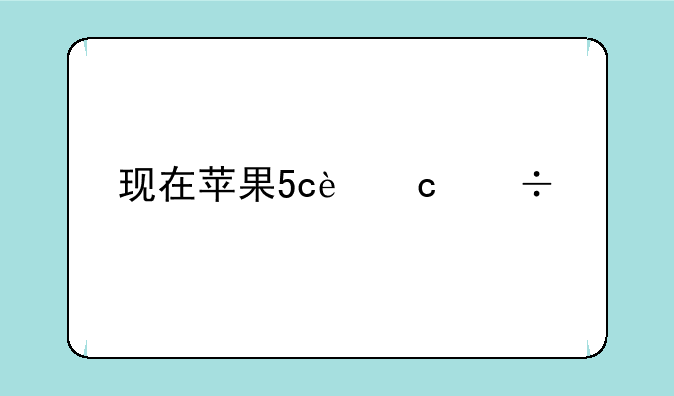 现在苹果5c还能干什么