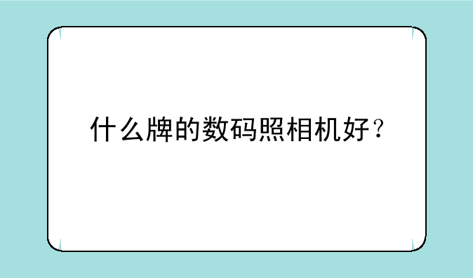 什么牌的数码照相机好？