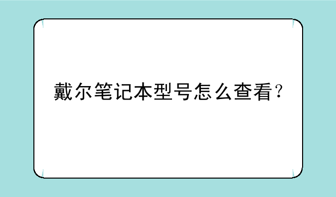 戴尔笔记本型号怎么查看？