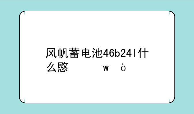 风帆蓄电池46b24l什么意思？