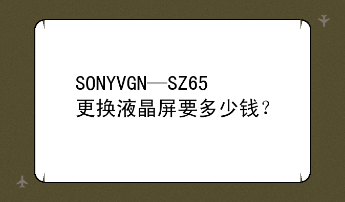 SONYVGN—SZ65更换液晶屏要多少钱？