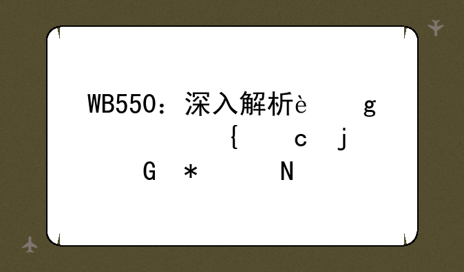 WB550：深入解析这款神秘的科技产品