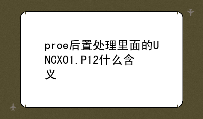 proe后置处理里面的UNCX01.P12什么含义