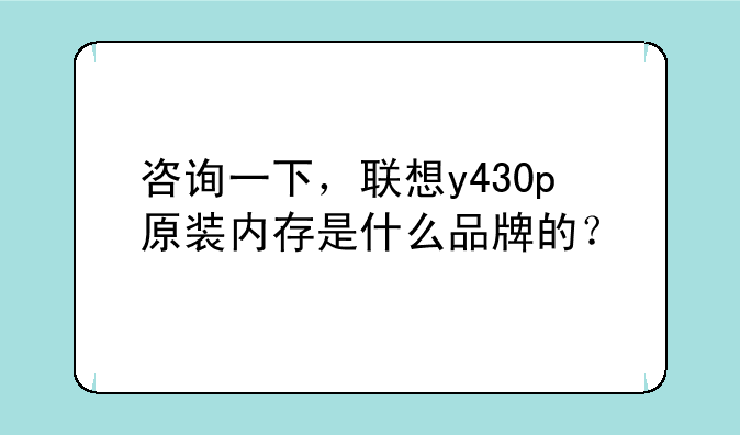 咨询一下，联想y430p原装内存是什么品牌的？