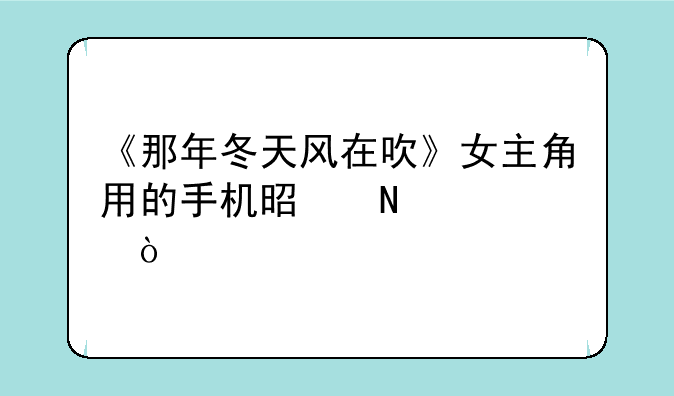 《那年冬天风在吹》女主角用的手