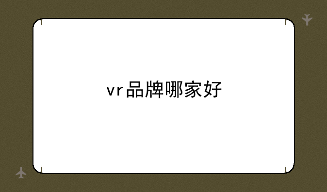 vr品牌哪家好