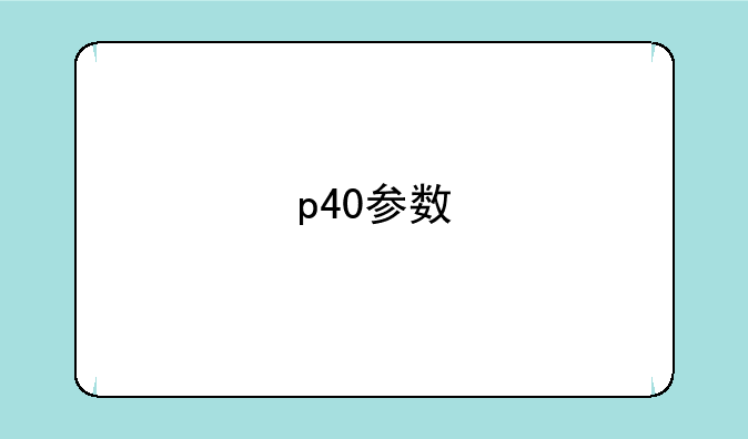 p40参数