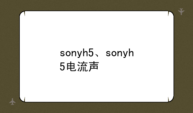 sonyh5、sonyh5电流声
