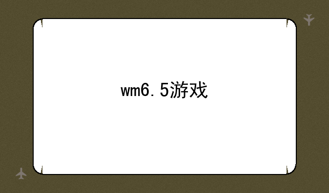wm6.5游戏