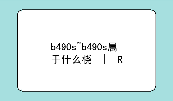 b490s~b490s属于什么档次