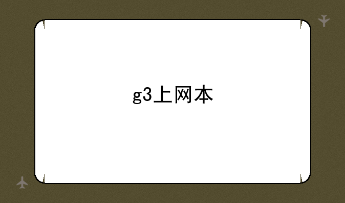 g3上网本