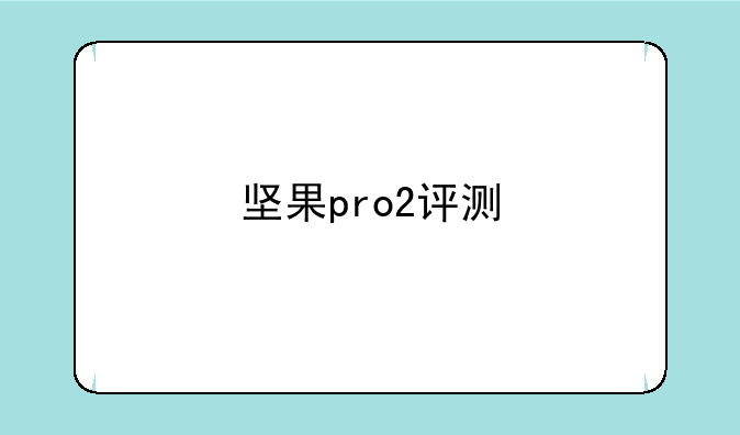 坚果pro2评测