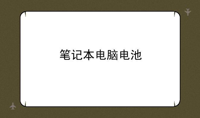 笔记本电脑电池
