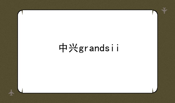 中兴grandsii