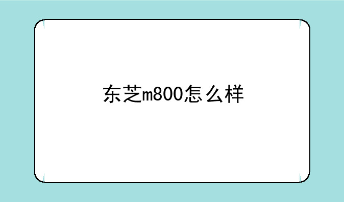 <b>东芝m800怎么样</b>