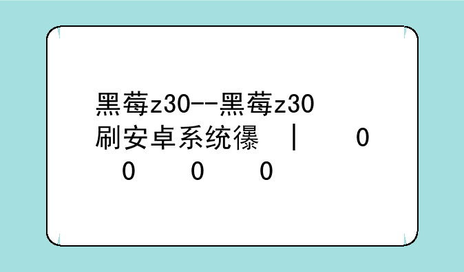 黑莓z30--黑莓z30刷安卓系统心得