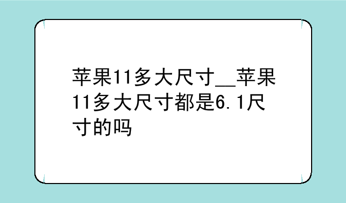 苹果11多大尺寸__苹果11多大尺寸都