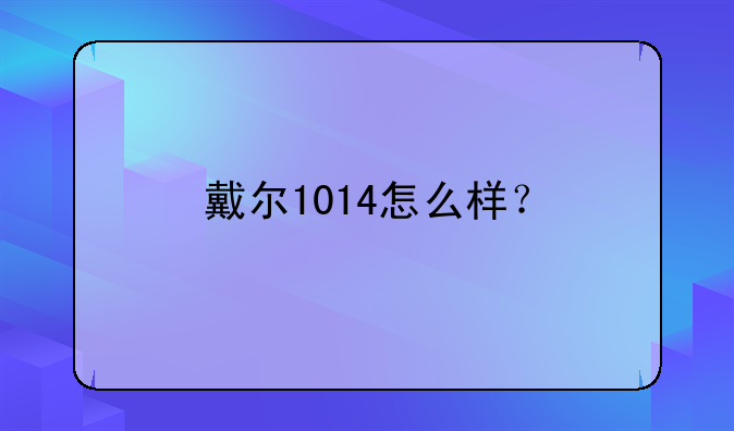 戴尔1014怎么样？