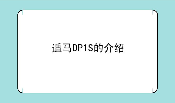 适马DP1S的介绍