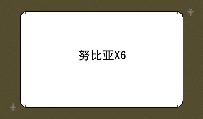 努比亚X6